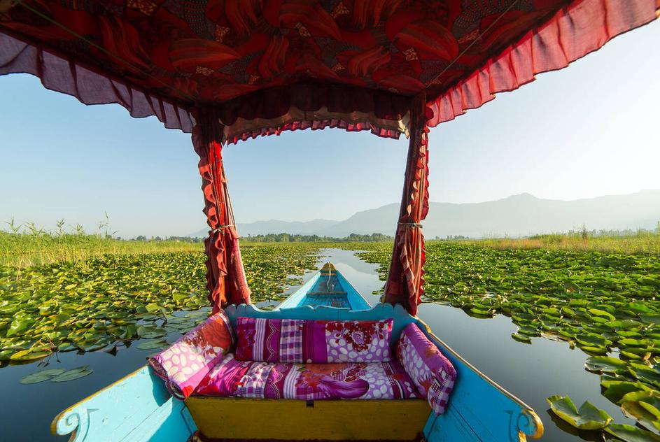 kashmir