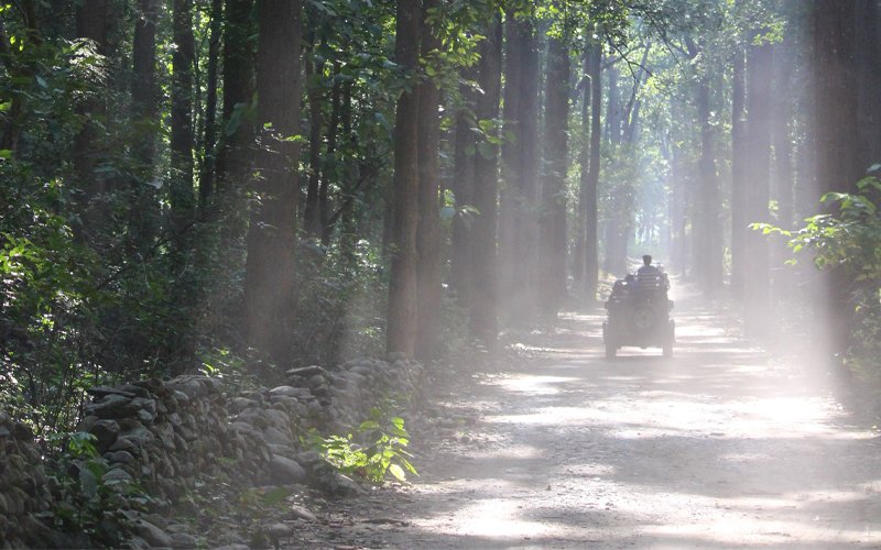 Nainital Corbett